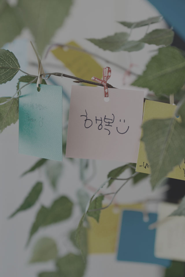 배경사진